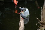 DSC_9162.JPG